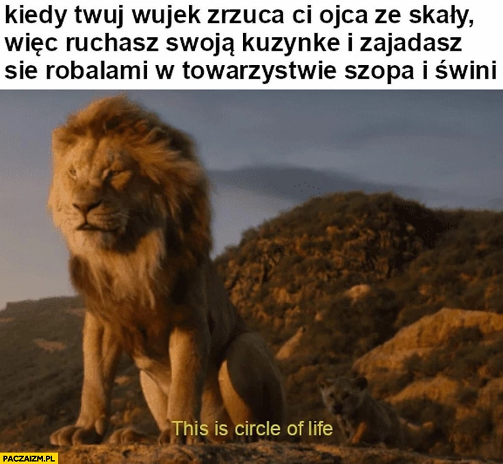 
    Król Lew kiedy wujek zrzuca Ci ojca ze skały więc dumasz kuzynkę i zajadasz się robalami w towarzystwie szopa i świni