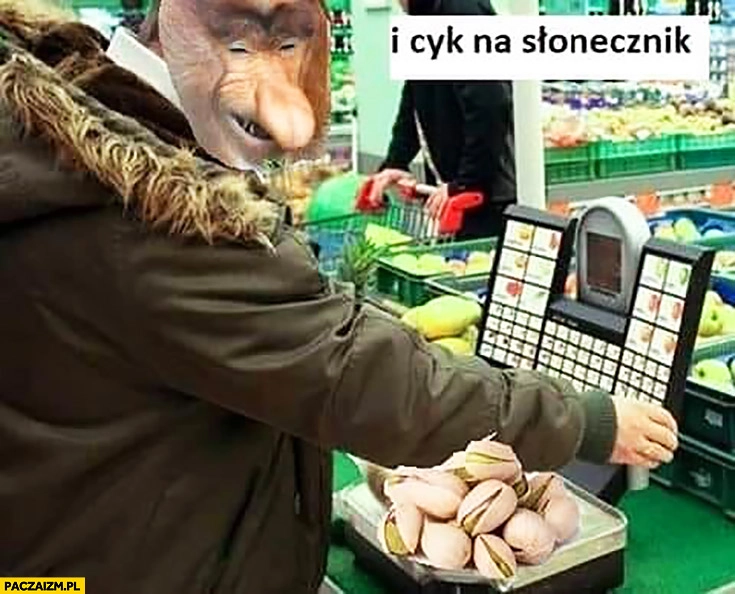 
    Kupuje pistacje i cyk na kasie wybiera słonecznik typowy Polak nosacz małpa