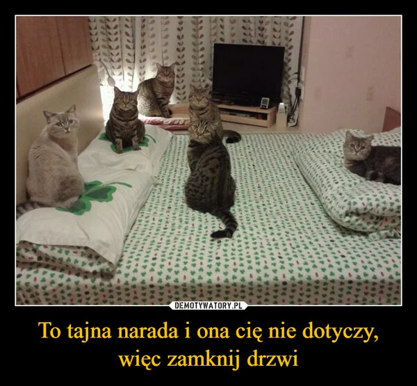 
    To tajna narada i ona cię nie dotyczy, więc zamknij drzwi