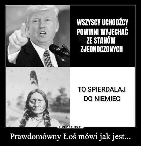 
    Prawdomówny Łoś mówi jak jest...