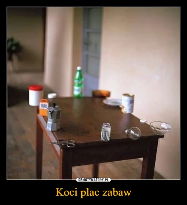 
    Koci plac zabaw