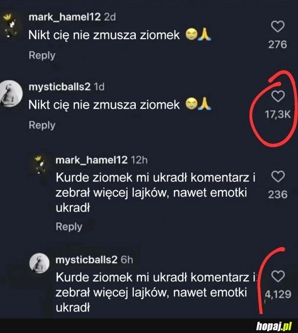 Niesprawiedliwość