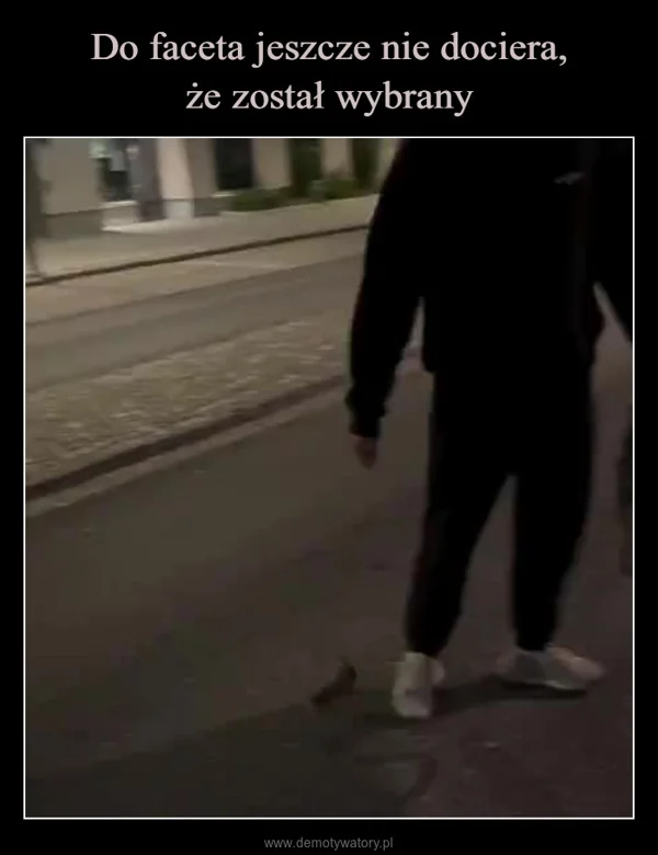 
    Do faceta jeszcze nie dociera, że został wybrany