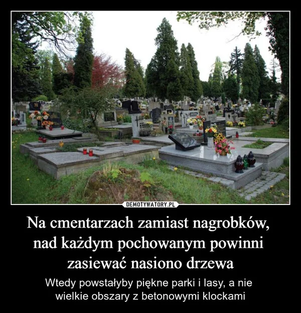 
    Na cmentarzach zamiast nagrobków, nad każdym pochowanym powinni zasiewać nasiono drzewa
