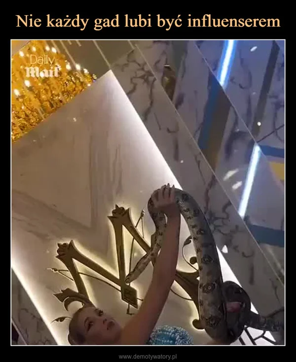 
    Nie każdy gad lubi być influenserem