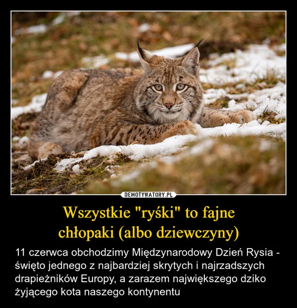 Wszystkie 