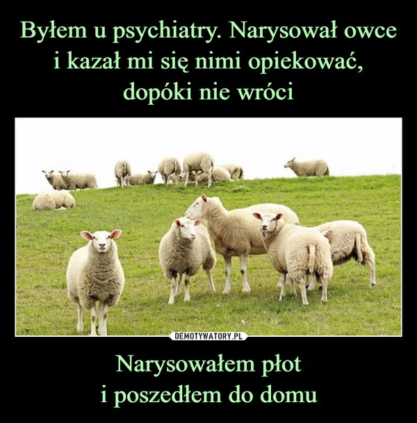 
    Byłem u psychiatry. Narysował owce i kazał mi się nimi opiekować, dopóki nie wróci Narysowałem płot i poszedłem do domu