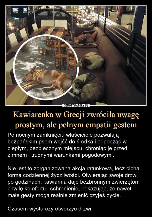 Kawiarenka w Grecji zwróciła uwagę prostym, ale pełnym empatii gestem