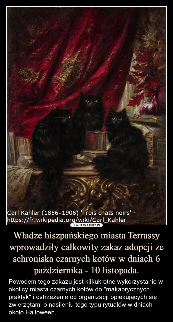 
    Władze hiszpańskiego miasta Terrassy wprowadziły całkowity zakaz adopcji ze schroniska czarnych kotów w dniach 6 października - 10 listopada.