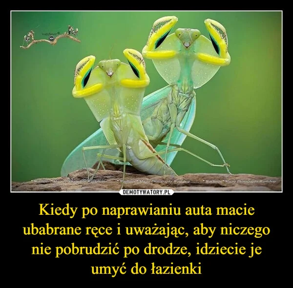 
    Kiedy po naprawianiu auta macie ubabrane ręce i uważając, aby niczego nie pobrudzić po drodze, idziecie je umyć do łazienki