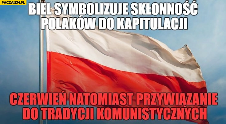 
    Flaga Polski biel symbolizuje skłonność Polaków do kapitulacji, czerwień przywiązanie do tradycji komunistycznych