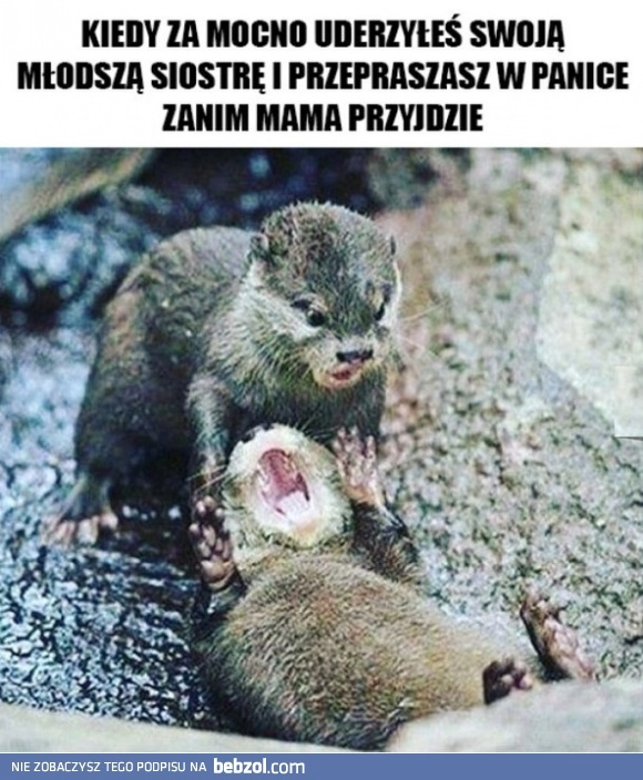 Kiedy za mocno uderzysz młodszą siostrę