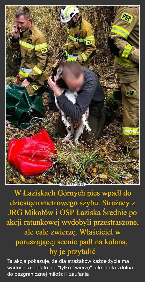 
    W Łaziskach Górnych pies wpadł do dziesięciometrowego szybu. Strażacy z JRG Mikołów i OSP Łaziska Średnie po akcji ratunkowej wydobyli przestraszone, ale całe zwierzę. Właściciel w poruszającej scenie padł na kolana, by je przytulić