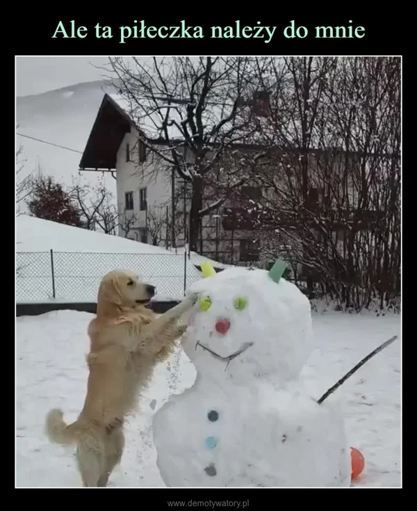 Ale ta piłeczka należy do mnie