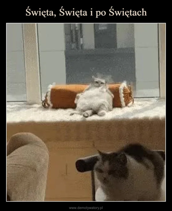 Święta, Święta i po Świętach