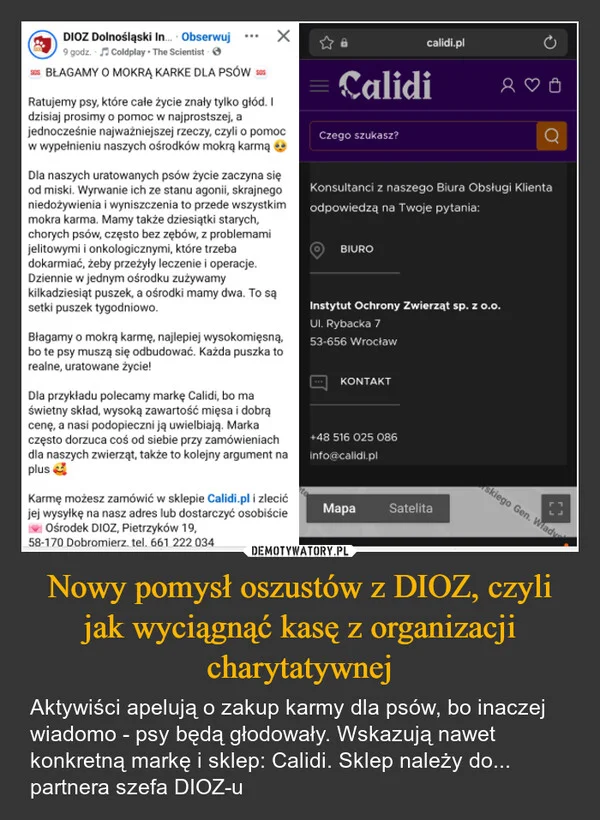 Nowy pomysł oszustów z DIOZ, czyli jak wyciągnąć kasę z organizacji charytatywnej