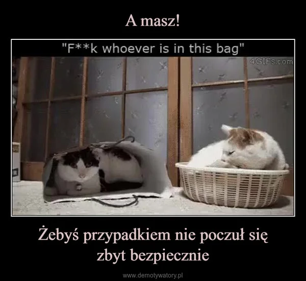 
    A masz! Żebyś przypadkiem nie poczuł się zbyt bezpiecznie