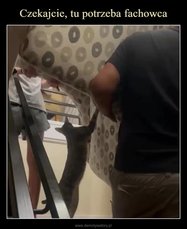 
    Czekajcie, tu potrzeba fachowca