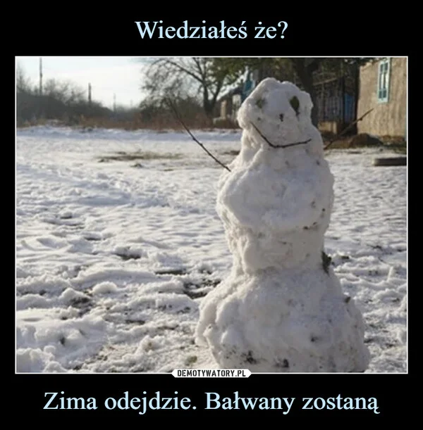 Wiedziałeś że? Zima odejdzie. Bałwany zostaną