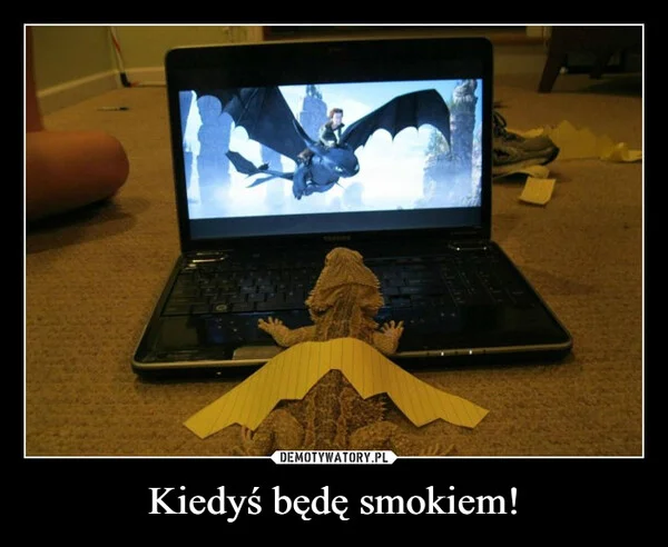 
    Kiedyś będę smokiem!