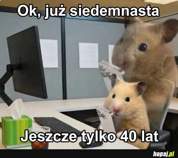 
    Motywacja na dziś