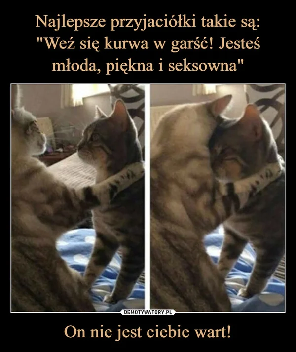 Najlepsze przyjaciółki takie są: 