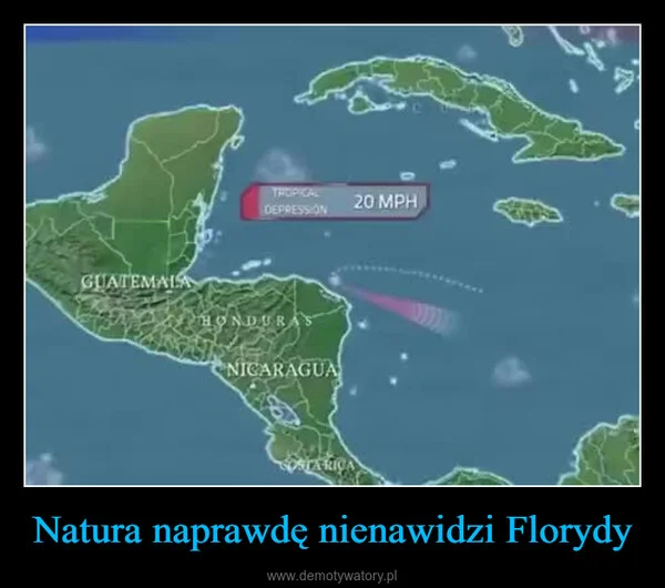 
    Natura naprawdę nienawidzi Florydy