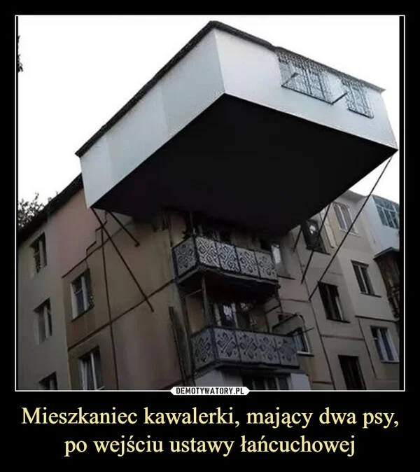 
    Mieszkaniec kawalerki, mający dwa psy, po wejściu ustawy łańcuchowej