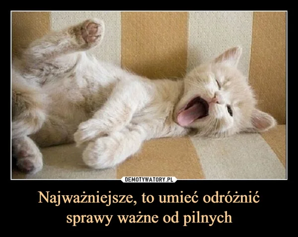Najważniejsze, to umieć odróżnić sprawy ważne od pilnych