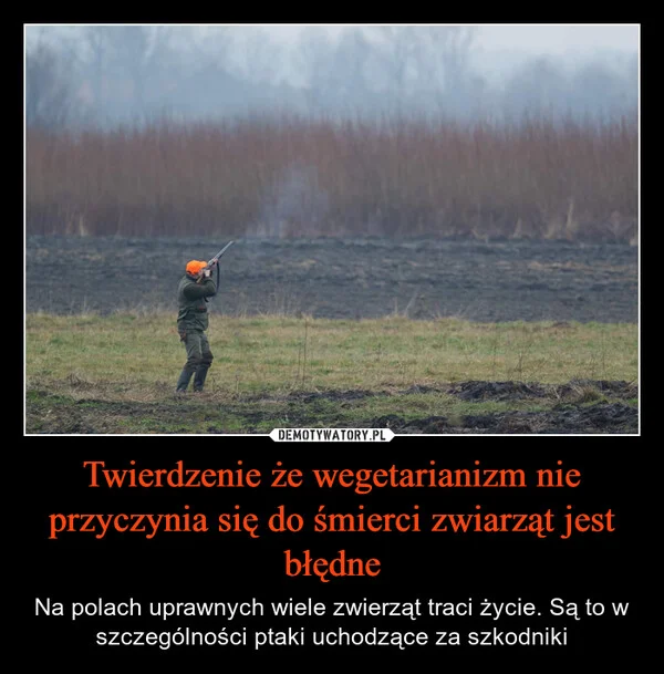 Twierdzenie że wegetarianizm nie przyczynia się do śmierci zwiarząt jest błędne