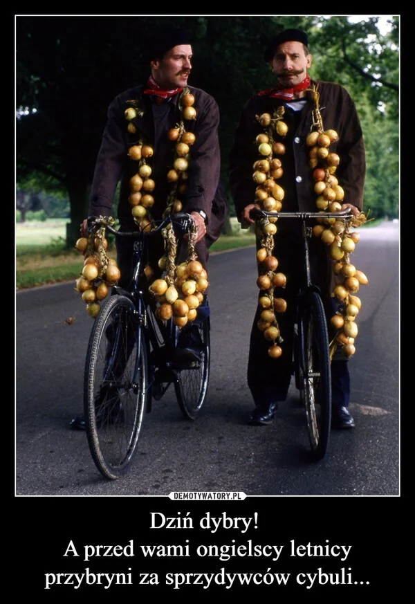 
    Dziń dybry! A przed wami ongielscy letnicy przybryni za sprzydywców cybuli...