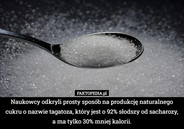 Naukowcy odkryli prosty sposób na produkcję naturalnego cukru o nazwie tagatoza,