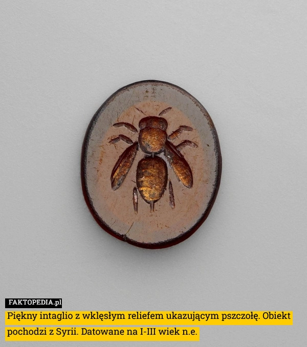 
    Piękny intaglio z wklęsłym reliefem ukazującym pszczołę. Obiekt pochodzi