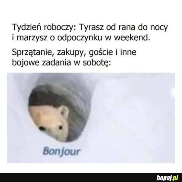 Witam