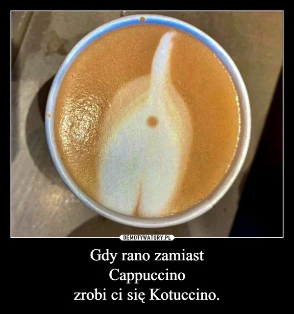 
    Gdy rano zamiast Cappuccino zrobi ci się Kotuccino.