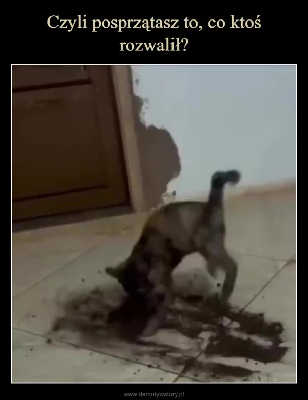 
    Czyli posprzątasz to, co ktoś rozwalił?