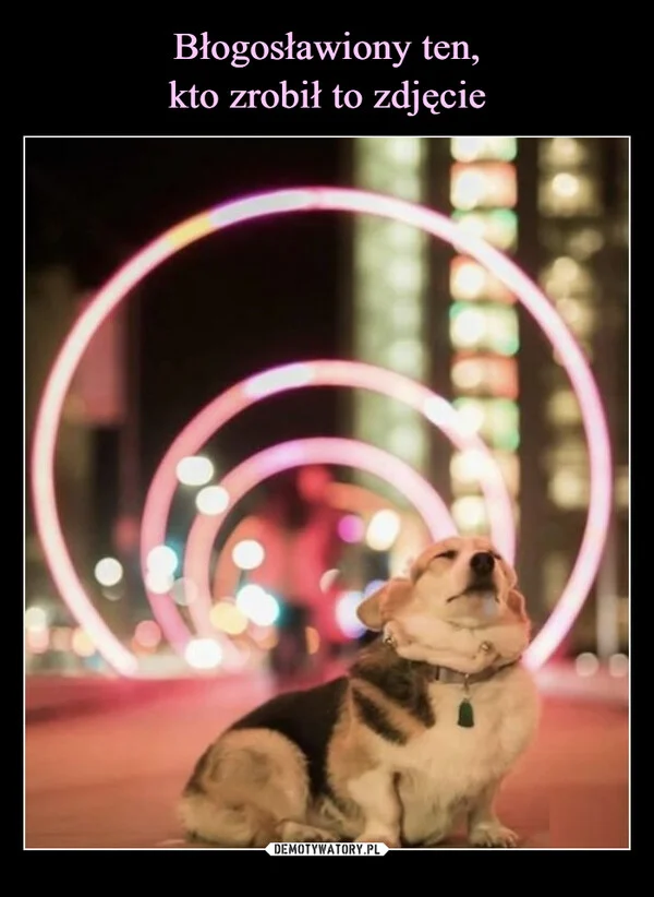 
    Błogosławiony ten, kto zrobił to zdjęcie