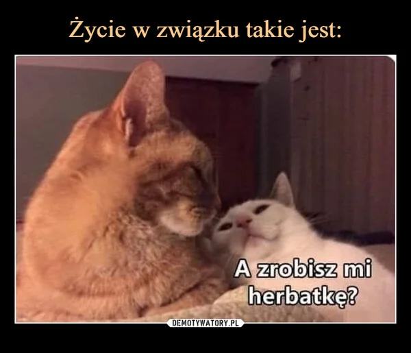 
    Życie w związku takie jest: