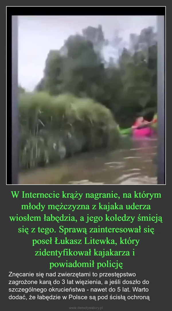 
    W Internecie krąży nagranie, na którym młody mężczyzna z kajaka uderza wiosłem łabędzia, a jego koledzy śmieją się z tego. Sprawą zainteresował się poseł Łukasz Litewka, który zidentyfikował kajakarza i powiadomił policję