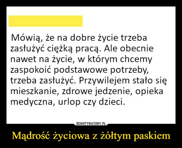 Mądrość życiowa z żółtym paskiem