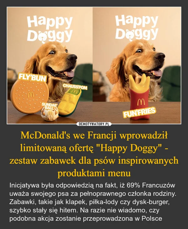 McDonald's we Francji wprowadził limitowaną ofertę 