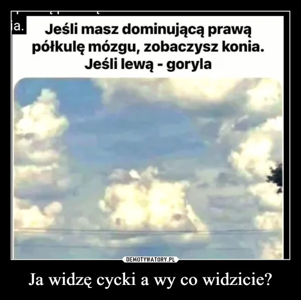 Ja widzę cycki a wy co widzicie?