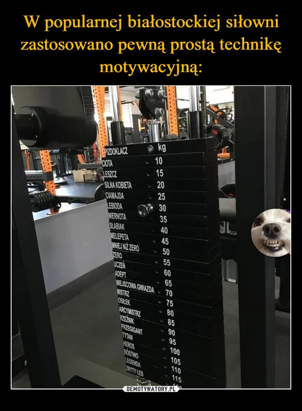 W popularnej białostockiej siłowni zastosowano pewną prostą technikę motywacyjną: