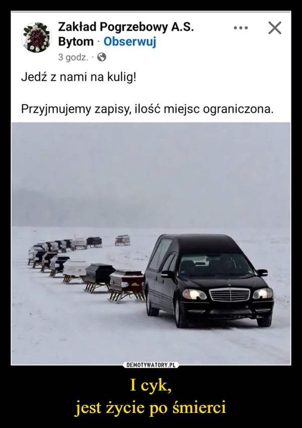 
    I cyk, jest życie po śmierci