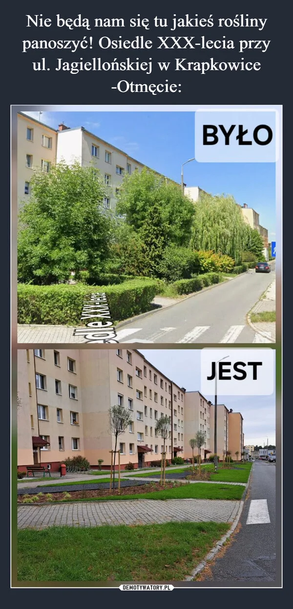 
    Nie będą nam się tu jakieś rośliny panoszyć! Osiedle XXX-lecia przy ul. Jagiellońskiej w Krapkowice -Otmęcie: