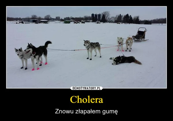Cholera