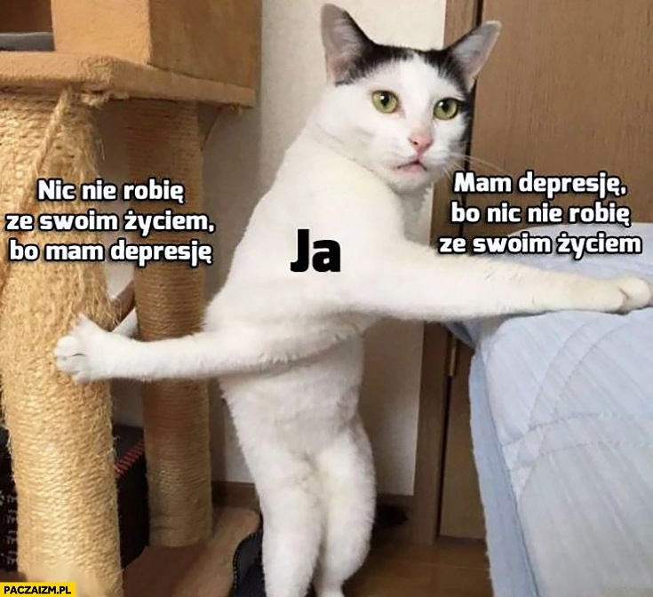 
    Kot ja nic nie robię ze swoim życiem bo mam depresję vs mam depresję bo nic nie robię ze swoim życiem