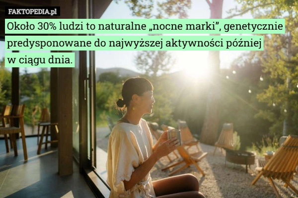 
    Około 30% ludzi to naturalne „nocne marki”, genetycznie predysponowane do...