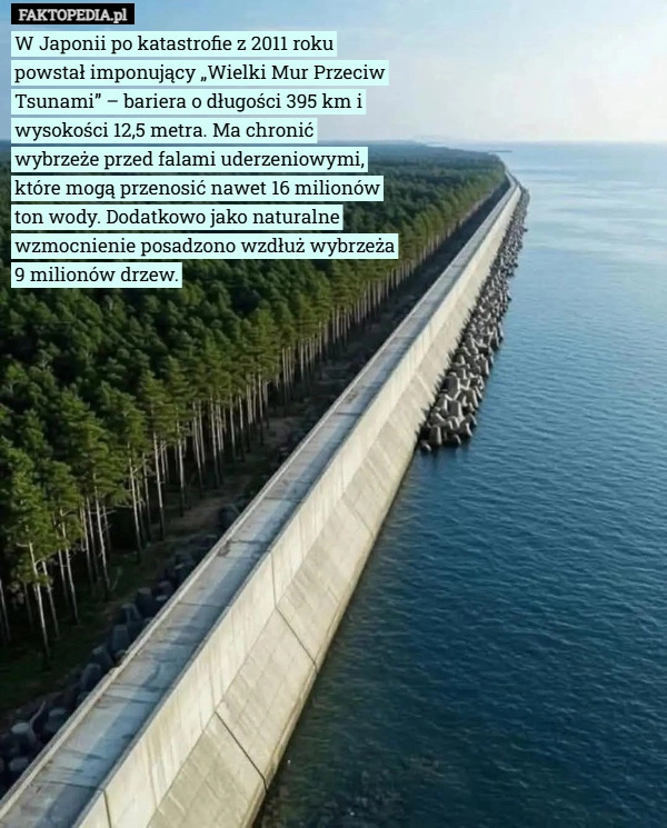 
    W Japonii po katastrofie z 2011 roku powstał imponujący „Wielki Mur Przeciw