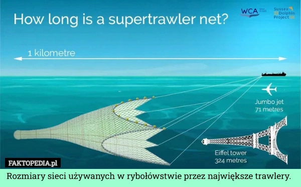 Rozmiary sieci używanych w rybołówstwie przez największe trawlery.